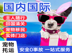 广州白云机场空运国际宠物托运 【国